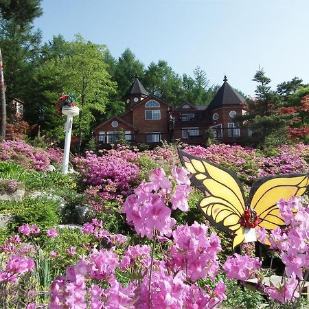 Elf Resort Hotel Pyeongchang Ngoại thất bức ảnh